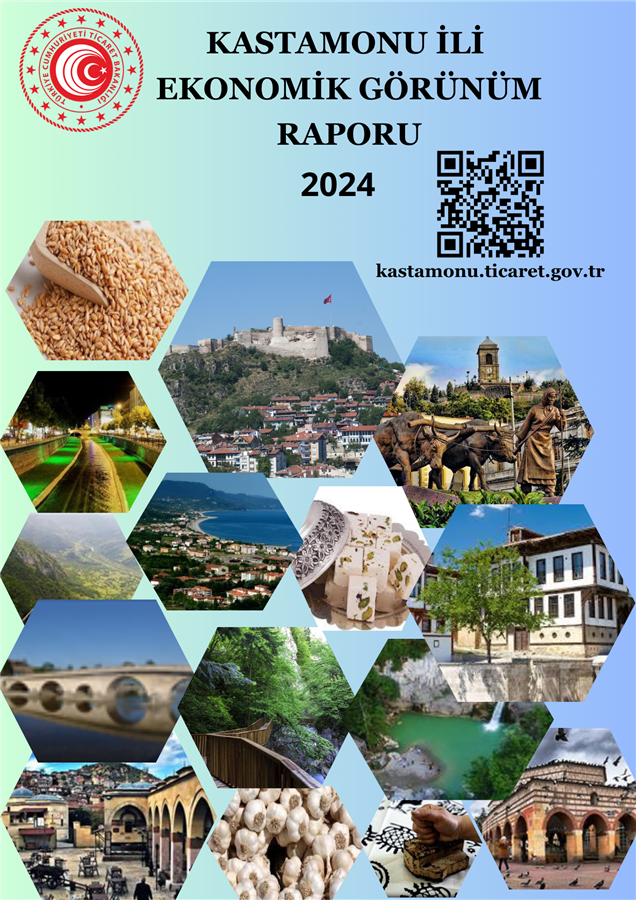 2024 Yılı Ekonomik Görünüm Raporu
